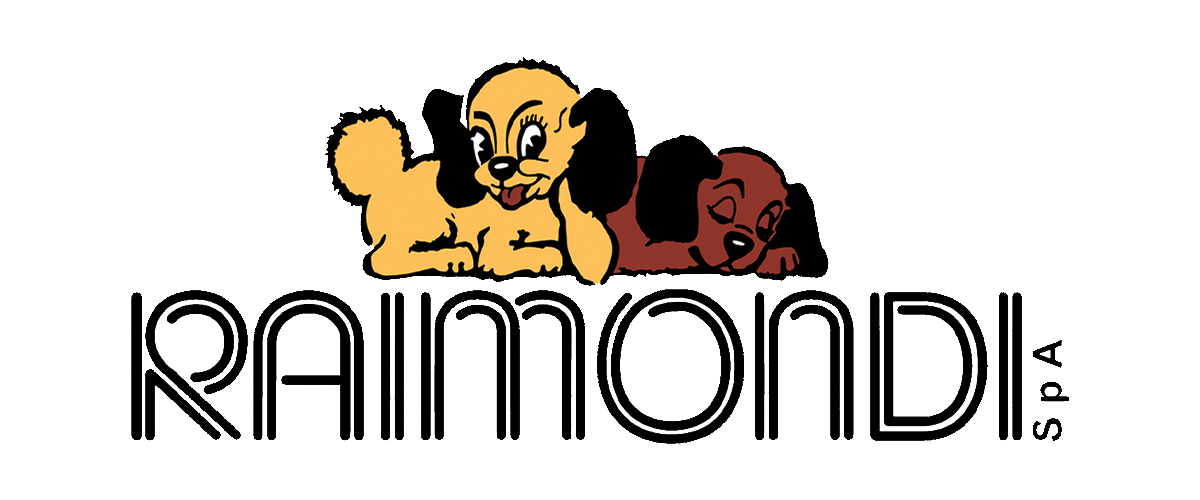 Raimondi logo